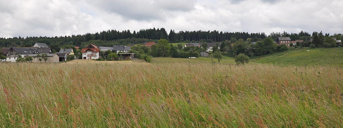 Gollenberg Hunsrück 