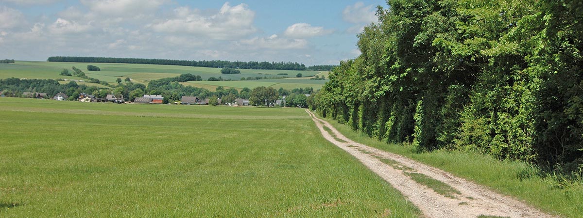 Tiefenbach Hunsrück 