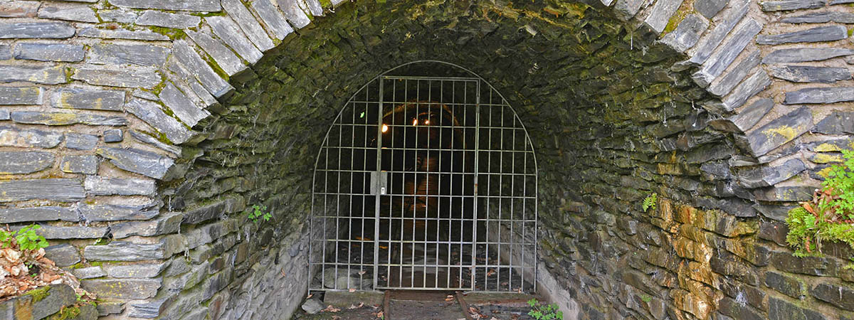 Besucherbergwerk Fell, Mosel